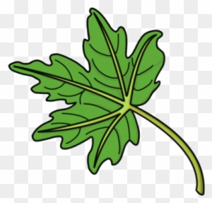 Doğal Şifa Rehberi Logo